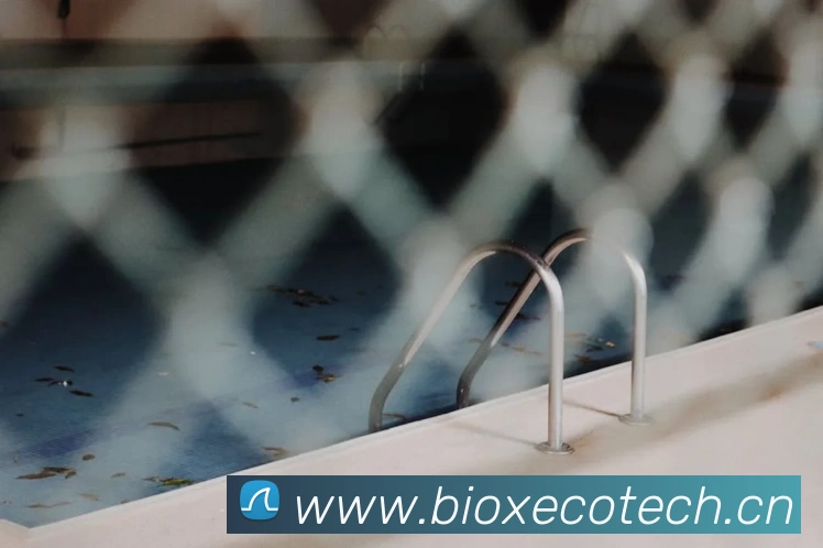 App Interface Preview