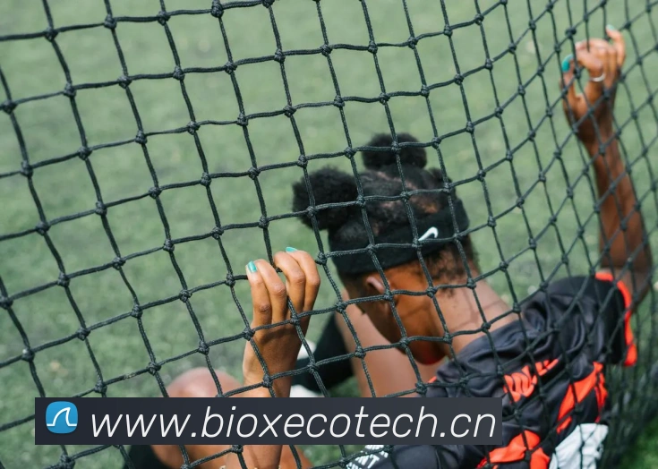 星空体育(中国)官方网站APP 封面图